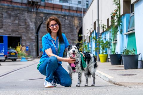 Battersea dogs and cats home sales brands hatch